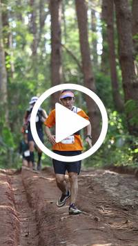 BIB:  <button type="button" onclick="openModal(26569695)" class="btn btn-primary btn-sm float-right" data-toggle="modal" data-target=".modal-high-quality">
                <i class="fa fa-download"></i> Download
                </button>